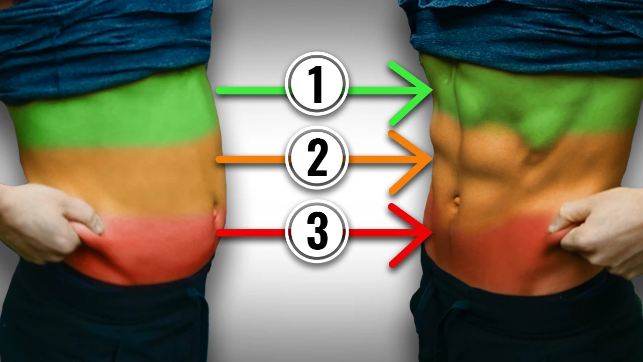 How-To-Eat-To-Lose-Belly-Fat