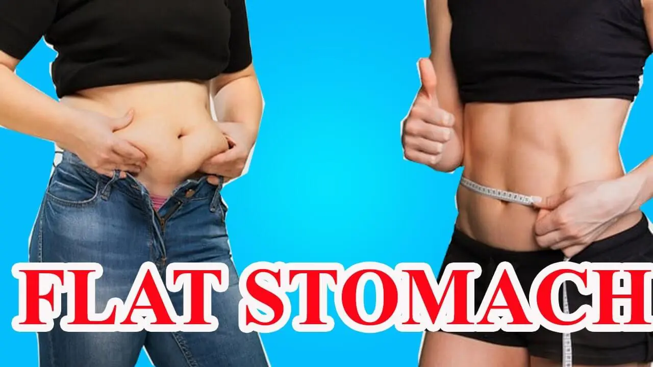 fat-stomach