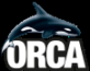 Orca Tauchreisen